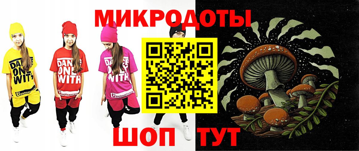 Галлюциногенные грибы Psilocybe  Вход с VPN  где можно купить наркотик  Нижнеудинск 