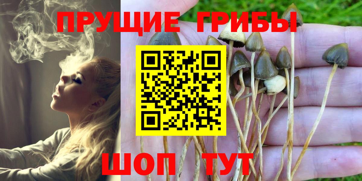 NBOMe Нижнеудинск